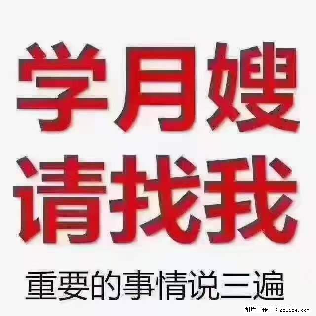 为什么要学习月嫂,育婴师? - 其他广告 - 广告专区 - 邯郸分类信息 - 邯郸28生活网 hd.28life.com