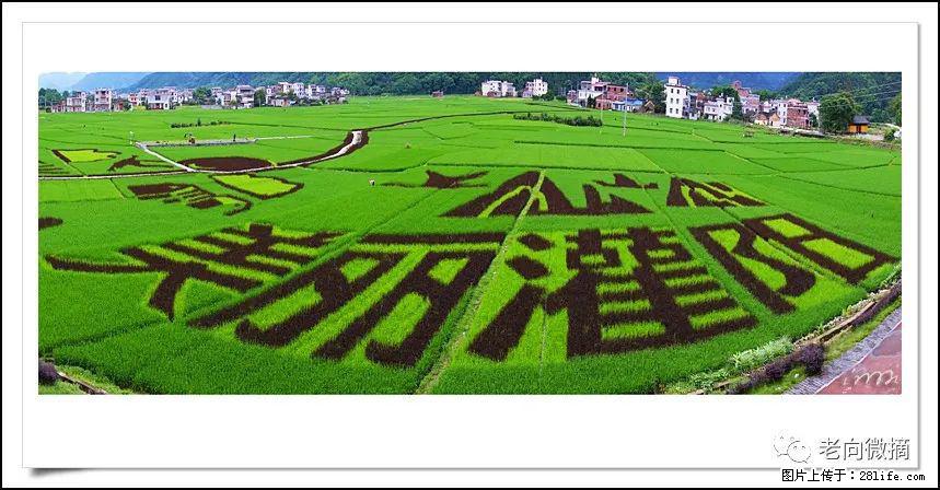 【春天，广西桂林灌阳县向您发出邀请！】开篇 - 游山玩水 - 邯郸生活社区 - 邯郸28生活网 hd.28life.com