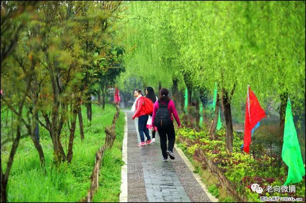 【春天，广西桂林灌阳县向您发出邀请！】江口老街又逢春 - 游山玩水 - 邯郸生活社区 - 邯郸28生活网 hd.28life.com