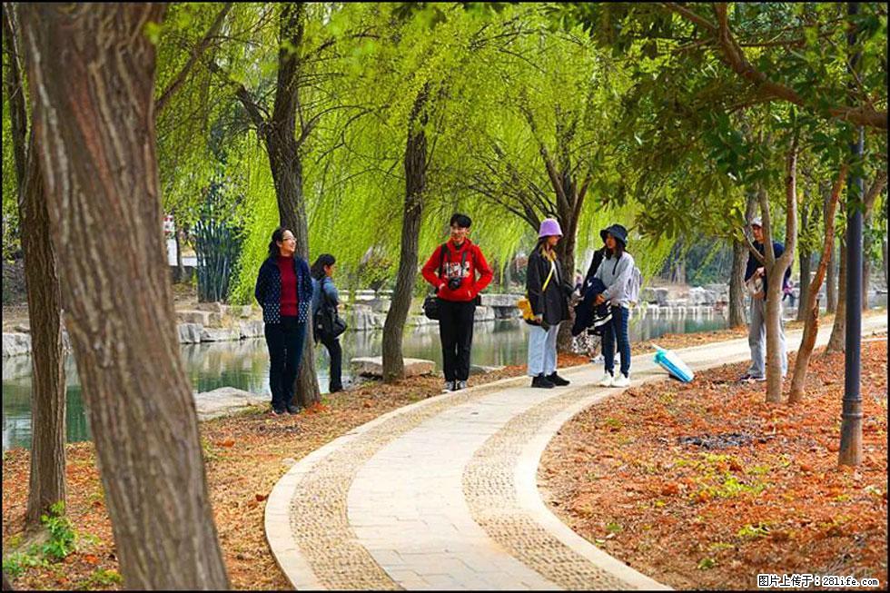 【春天，广西桂林灌阳县向您发出邀请！】江口老街又逢春 - 游山玩水 - 邯郸生活社区 - 邯郸28生活网 hd.28life.com