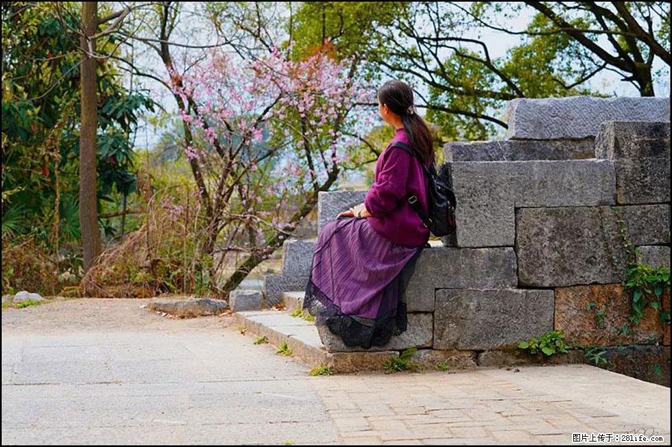 【春天，广西桂林灌阳县向您发出邀请！】江口老街又逢春 - 游山玩水 - 邯郸生活社区 - 邯郸28生活网 hd.28life.com