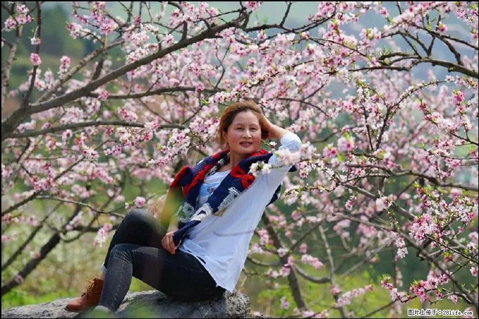 【春天，广西桂林灌阳县向您发出邀请！】望月岭上桃花开 - 游山玩水 - 邯郸生活社区 - 邯郸28生活网 hd.28life.com