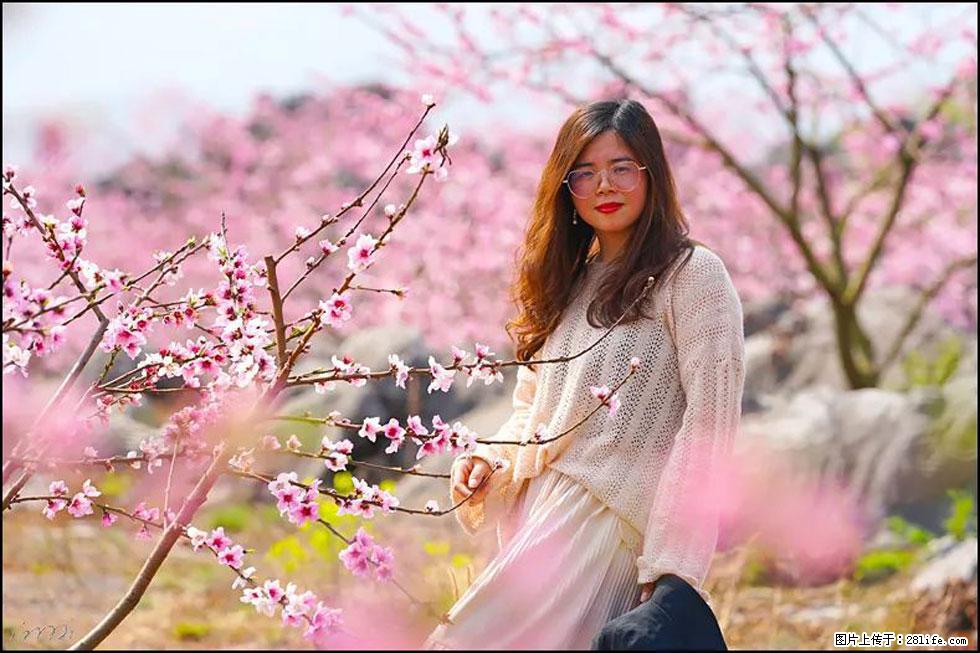 【春天，广西桂林灌阳县向您发出邀请！】望月岭上桃花开 - 游山玩水 - 邯郸生活社区 - 邯郸28生活网 hd.28life.com