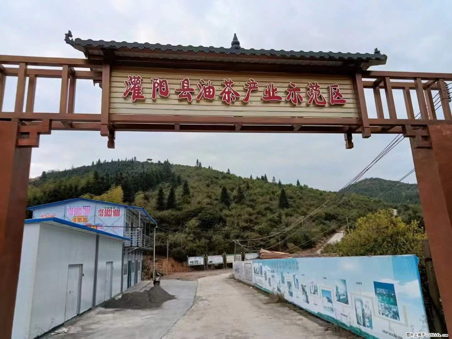 【灌阳县油茶产业示范区】一个有着充实的精神生活的人，对待身外之物自会有一种淡泊的态度 - 美食天地 - 邯郸生活社区 - 邯郸28生活网 hd.28life.com