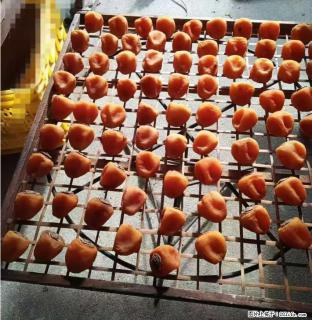 广西桂林平乐桥亭【柿饼之乡】2025年纯手工制作、无任何添加剂的第一批柿饼准备上市了，欢迎联系订购！ - 邯郸28生活网 hd.28life.com