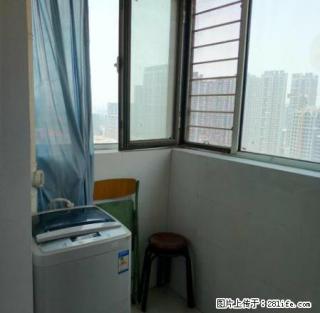 蓝天金地 配套齐全 南北通透 交通便利 紧邻26中 房东急租 - 邯郸28生活网 hd.28life.com