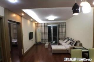 人民东路联防路 广厦小区精装两室 全套家具家电 邻近广泰中学 - 邯郸28生活网 hd.28life.com