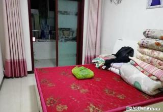 急租 金业国际 随时可看房 精装修 拎包入住 - 邯郸28生活网 hd.28life.com