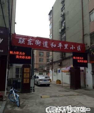 青年路 和平里小区 六层 整租 全套家电家具 拎包入住 - 房屋出租 - 房屋租售 - 邯郸分类信息 - 邯郸28生活网 hd.28life.com