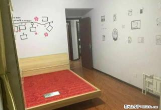 (单间出租)个人直租 康德附近 高档小区 精装修 全新家具 男女不限 - 邯郸28生活网 hd.28life.com