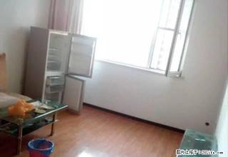 (单间出租)个人直租 康德附近 高档小区 精装修 全新家具 男女不限 - 邯郸28生活网 hd.28life.com