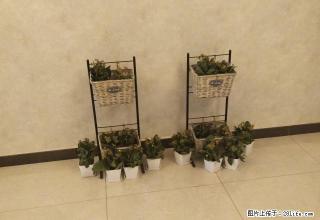 恒大名都 精装修的，室内环境干净卫生，拎包入住，可随时看房 - 邯郸28生活网 hd.28life.com