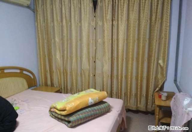 急租,新丹兰,工人剧院,三中,国风康德附近,精装修900元 - 房屋出租 - 房屋租售 - 邯郸分类信息 - 邯郸28生活网 hd.28life.com