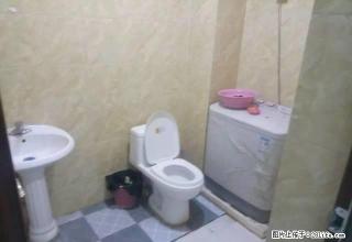 (单间出租)我不是中介白菜价出租新世纪丛台公园万达附近精品合租房 - 邯郸28生活网 hd.28life.com