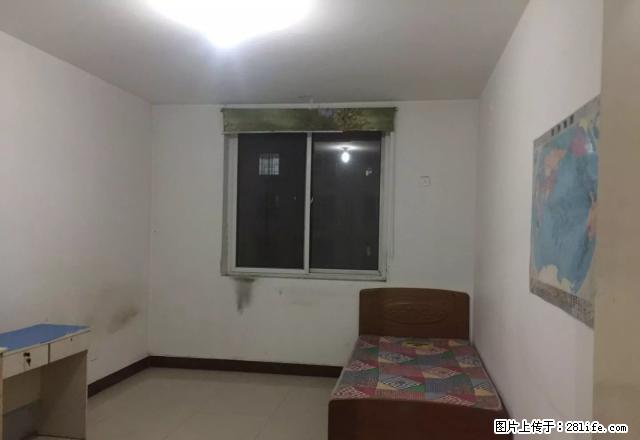 新科园东区紧邻万博园枫丹白露鑫域国际金都高铁附近 - 房屋出租 - 房屋租售 - 邯郸分类信息 - 邯郸28生活网 hd.28life.com