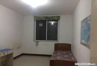 新科园东区紧邻万博园枫丹白露鑫域国际金都高铁附近 - 邯郸28生活网 hd.28life.com