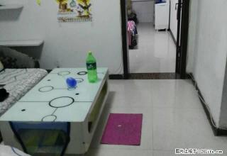 新世纪西侧，丛台广场，双气，家具，电器，拎包入住 - 邯郸28生活网 hd.28life.com