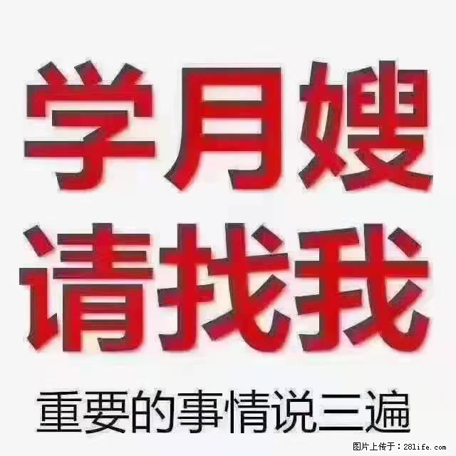 【招聘】月嫂，上海徐汇区 - 职场交流 - 邯郸生活社区 - 邯郸28生活网 hd.28life.com