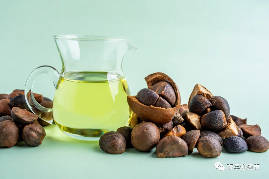 世界没有真相，只有认知，最好的食用油是中国的山茶油！ - 邯郸生活资讯 - 邯郸28生活网 hd.28life.com