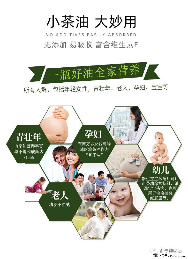 世界没有真相，只有认知，最好的食用油是中国的山茶油！ - 邯郸生活资讯 - 邯郸28生活网 hd.28life.com