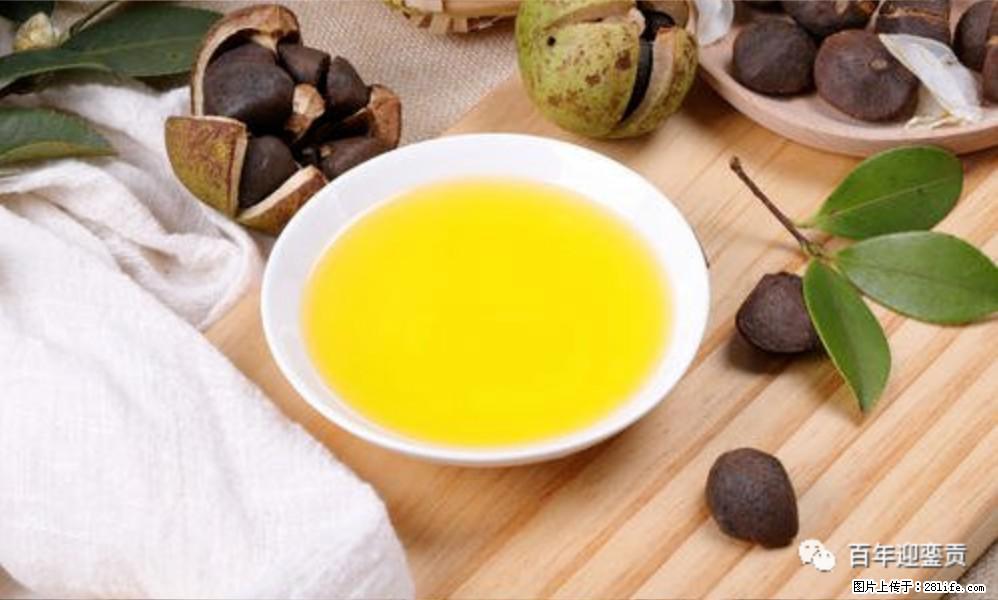 世界没有真相，只有认知，最好的食用油是中国的山茶油！ - 邯郸生活资讯 - 邯郸28生活网 hd.28life.com