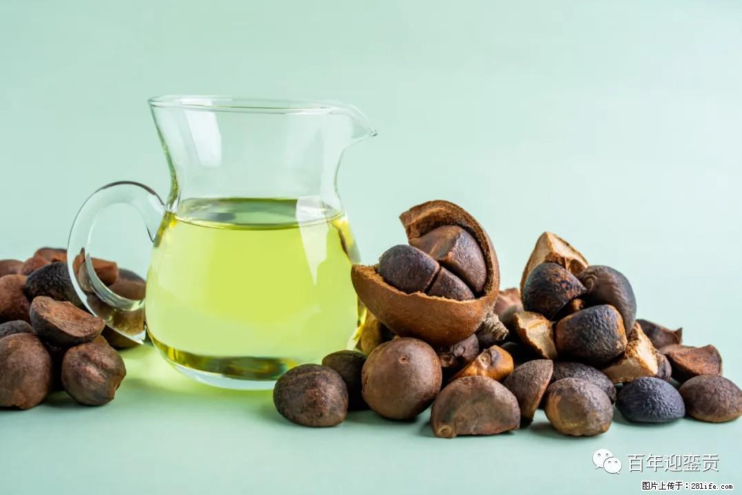 世界没有真相，只有认知，最好的食用油是中国的山茶油！ - 邯郸生活资讯 - 邯郸28生活网 hd.28life.com