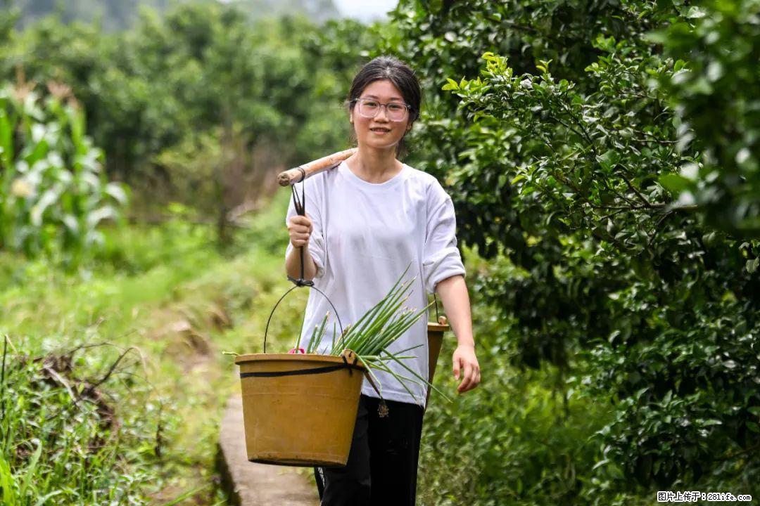 全网追的“扁担女孩”，找了一份暑假工，时薪12元 - 邯郸生活资讯 - 邯郸28生活网 hd.28life.com