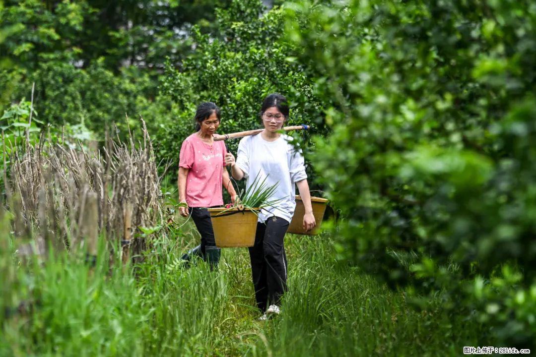 全网追的“扁担女孩”，找了一份暑假工，时薪12元 - 邯郸生活资讯 - 邯郸28生活网 hd.28life.com