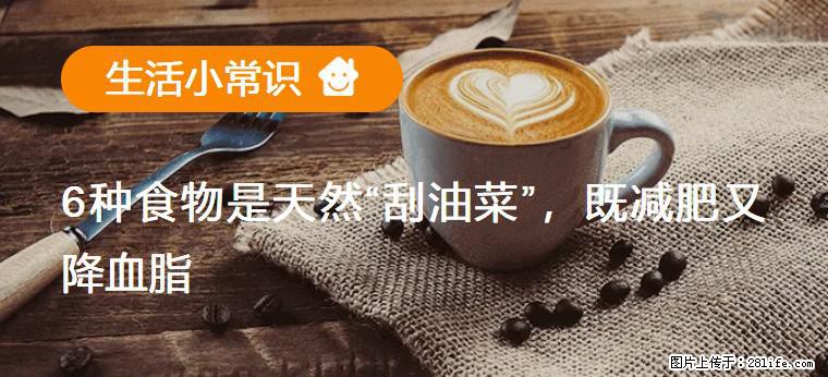 【生活小常识】6种食物是天然“刮油菜”，既减肥又降血脂 - 邯郸生活资讯 - 邯郸28生活网 hd.28life.com