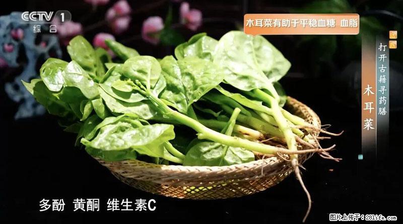 比牛奶补钙还厉害!凉血解毒、稳血糖...这菜冬天必吃,很多人却当草 - 邯郸生活资讯 - 邯郸28生活网 hd.28life.com