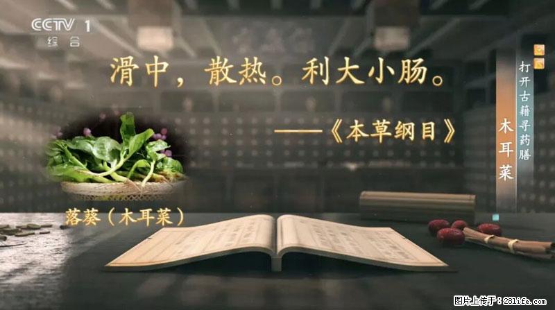 比牛奶补钙还厉害!凉血解毒、稳血糖...这菜冬天必吃,很多人却当草 - 邯郸生活资讯 - 邯郸28生活网 hd.28life.com