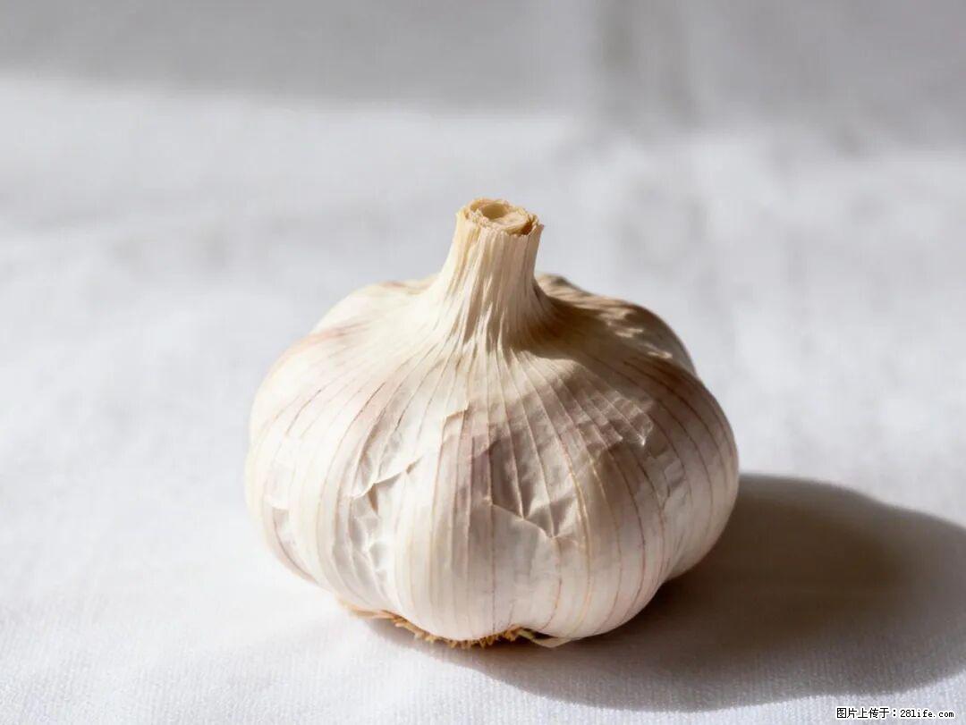 关于大蒜，除了“天然抗生素”，这4个谣言更该警惕! - 邯郸生活资讯 - 邯郸28生活网 hd.28life.com
