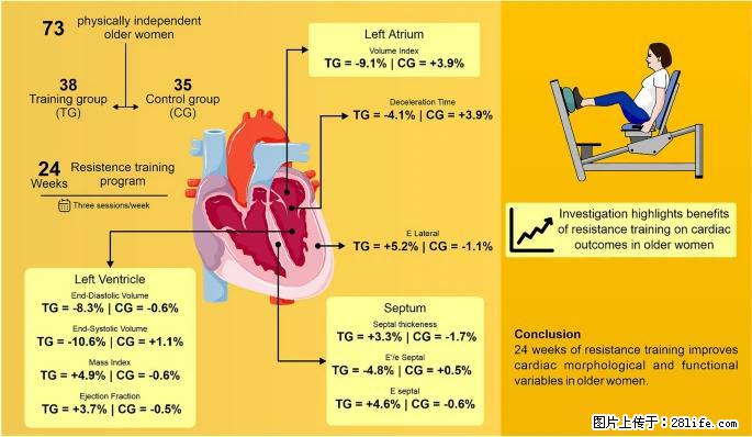 坚持这种运动6个月，心脏有了显著变化！不是跑步，也不是走路 - 邯郸生活资讯 - 邯郸28生活网 hd.28life.com