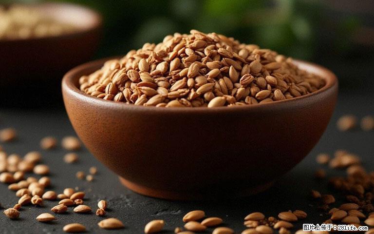 这三苦是三高“克星”，心血管干净不易堵！每天吃一点，指标慢慢降下来~ - 邯郸生活资讯 - 邯郸28生活网 hd.28life.com