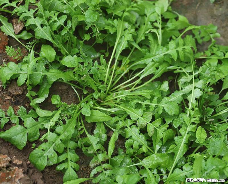 这些蔬菜是“天然钙片”，这6种被医生重点推荐 - 邯郸生活资讯 - 邯郸28生活网 hd.28life.com