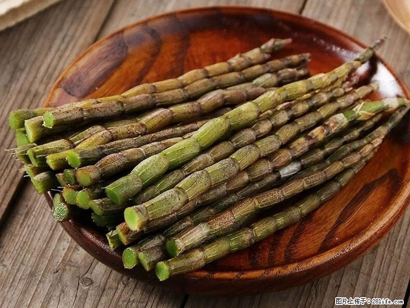 铁皮石斛的作用与功能主治 - 邯郸生活资讯 - 邯郸28生活网 hd.28life.com