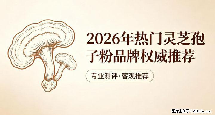 灵芝孢子粉含量越高越有效？2026 年七款热门品牌深度实测，肠胃敏感者避坑指南 - 邯郸生活资讯 - 邯郸28生活网 hd.28life.com