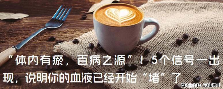 “体内有瘀,百病之源”!5个信号一出现,说明你的血液已经开始“堵”了 - 邯郸生活资讯 - 邯郸28生活网 hd.28life.com